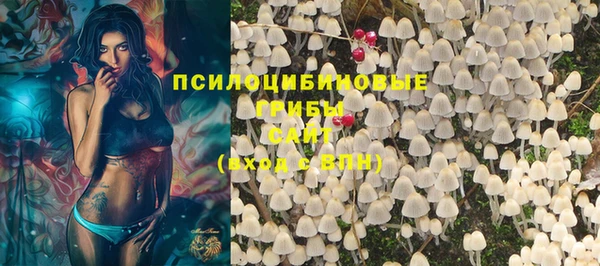 гашик Алексин