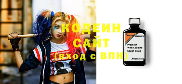 гашик Алексин
