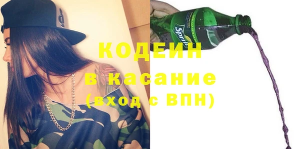 гашик Алексин