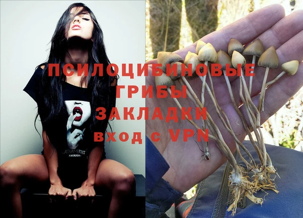 гашик Алексин