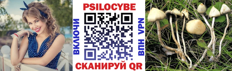 Галлюциногенные грибы Cubensis  hydra как войти  Каменск-Уральский 